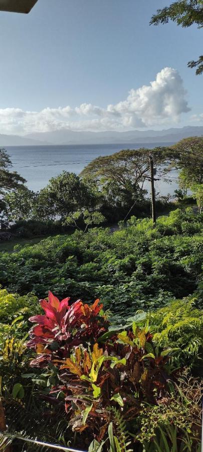 Gingerbread Cottage And Studio Fiji Savusavu Exterior foto